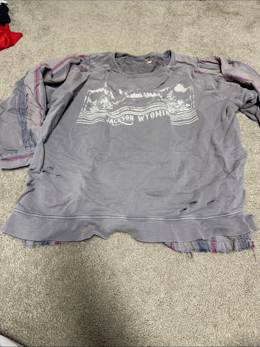 Free People Gray Jackson Wyoming Graphic Pullover